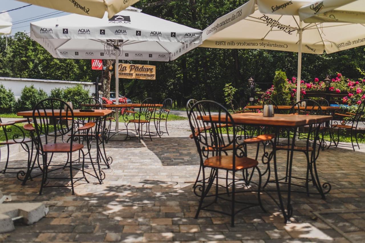 La Padure Pensiune-Restaurant Novaci-Străini エクステリア 写真